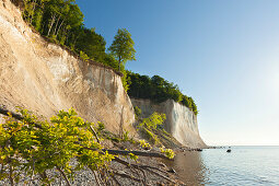 Chalk cliff, National Park Jasmund, Ruegen island,  Baltic Sea, Mecklenburg-West Pomerania, Germany