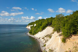 Chalk cliff, National Park Jasmund, Ruegen island,  Baltic Sea, Mecklenburg-West Pomerania, Germany