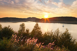 Biggesee bei Attendorn, Rothaargebirge, Sauerland, Nordrhein-Westfalen, Deutschland