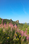 Bruchhauser Steine, Rothaarsteig, Rothaargebirge, Sauerland, Nordrhein-Westfalen, Deutschland