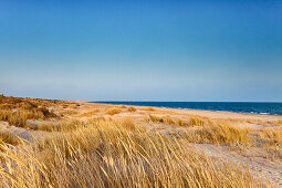 Beach and dunes, Monte Gordo, Faro, Algarve, Portugal