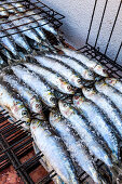 Sardines on a grill rack, Algarve, Portugal