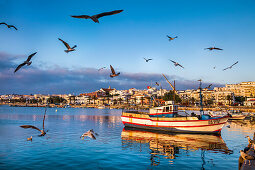 Fischkutter und Möwen vor Altstadt, Lagos, Algarve, Portugal
