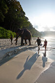 Schwimmender Elefant Rajan, kommt vom Schwimmen, Schnorchler und Guide Mahmut, am Beach No. 7, Tour des Barefoot Scuba Tauchcenters, Havelock Island, Andaman Islands, Union Territory, India