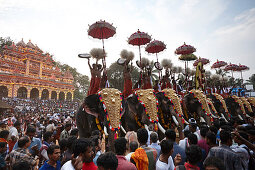 Geschmueckte Elefanten inmitten grosser Maennermengen, dahinter illuminiertes Holzgeruest Aana Pandal, Nemmara Vela, Vela ist Festival welches im Sommer nach der Ernte stattfindet, Hindu-Tempel-Fest im Dorf Nemmara, bei Pallakad, Kerala, Indien