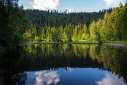 Buhlbachsee, near Baiersbronn, Black Forest National Park, Black Forest, Baden-Württemberg, Germany