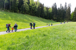 Family hiking to a climbing area, Saxony Switzerland, Elbe sandstone mountains, Dresden, Saxony, Germany, Europe