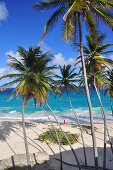 young woman on a tropical beach with palm trees, sea, Bottom Bay, south coast, Barbados, Lesser Antilles, West Indies, Windward Islands, Antilles, Caribbean, Central America