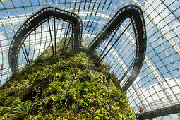 Conservatory, rain forest, Cloud Forest, Cloud Walk, Gardens by the Bay, themed gardens, glass, architecture, Singapore, Asia