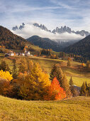 Blick über das Villnöss Tal im Herbst mit rotem Kirschbaum, Kirche St. Magdalena und die Geislerspitzen im Hintergrund, Alpen, Funes, Alto Adige, Dolomiten, Südtirol, Italien, Europa