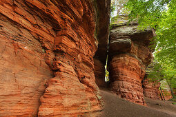 Altschlossfelsen, bei Eppenbrunn, Naturpark Pfaelzer Wald, Rheinland-Pfalz, Deutschland