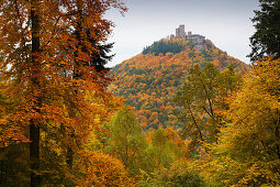 Burg Trifels, bei Annweiler, Naturpark Pfaelzer Wald, Rheinland-Pfalz, Deutschland