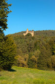Burg Berwartstein, bei Erlenbach, Dahner Felsenland, Naturpark Pfaelzer Wald, Rheinland-Pfalz, Deutschland