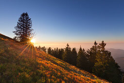 Sunset at Belchen, Black Forest, Baden-Wuerttemberg, Germany