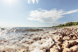 Uferkies an der Mittelmeerküste, Peroj, Istrien, Kroatien