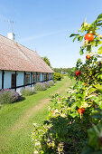 Farm house, half-timbered house, summer cottage, Baltic sea, Bornholm, near Balka Beach, near Snogebaek, Denmark, Europe