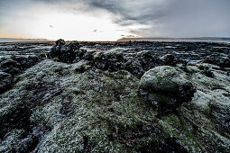 Stones and Moss along the Ring Road, Mountain Range in the background, Frost, Winter, Cold, Iceland