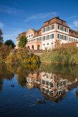 Reflection of Kellereischloss Hammelburg (Rotes Schloss) in pond with ducks
