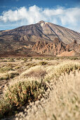view towards Teide peak with crater, Teide, volcano, National Park, Tenerife, Canary Islands, Spain