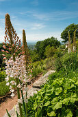 Badenweiler, Markgraeflerland, Black Forest, Baden-Wuerttemberg, Germany