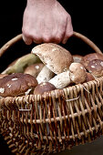 Basket full of mushrooms