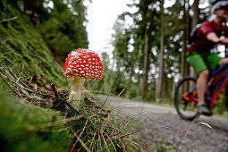 Fahrradfahrer fährt an einem Fliegenpilz vorbei