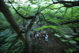 Drei junge Camper gehen durch einen Wald, Freilassing, Bayern, Deutschland