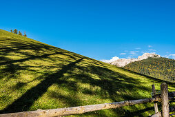 An Alp meadow with tree shade and view at the mountain Weißhorn, white horn at the gorge Blätterbachschlucht, Radein, South Tirol, Alto Adige, Italy