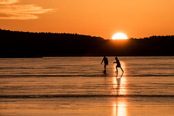 Silhouettes of skaters in backlight of the red sunset on the Lake Rangsdorf - Germany, Brandenburg, Rangsdorf