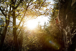 Young man climbing at a rock face on a sunny day, Schwaerzer Wand, Bavaria, Germany