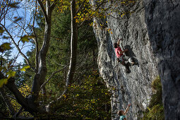 Young man climbing at a rock face, Schwaerzer Wand, Bavaria, Germany