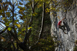 Junger Mann klettert an einer Felswand, Schwaerzer Wand, Bayern, Deutschland