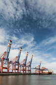 container cranes and container ships at the Burchardterminal at the habour of Hamburg, Hamburg, north Germany, Germany