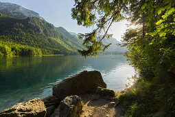 Feslen am Ufer, Vorderer Langbathsee, Höllengebirge, Salzkammergut, Oberösterreich, Österreich