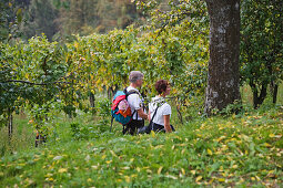 Hiking, Vineyards in Sulztal, south styrian vine route