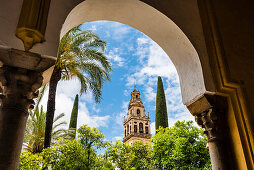 Der Glockenturm der Kathedrale Mezquita-Catedral de Córdoba, eingerahmt vom Bogengang, Cordoba, Andalusien, Spanien