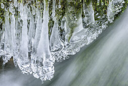 Eisfiguren an Bach, Nockberge, Biosphärenpark Nockberge, Kärnten, Österreich