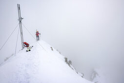 Woman back-country skiing ascending through fog to summit of Cima d'Asta, Cima d'Asta, Fiemme Mountains, Dolomites, UNESCO World Heritage Dolomites, Trentino, Italy
