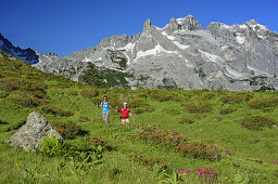 Woman and man hiking on meadow with alpine roses in blossom in front of Drei Tuerme and Drusenfluh, Raetikon, Vorarlberg, Austria