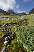 Fluss Dörae, Verklisdalen, Trolltinden, Sagtindan, Rondane Nationalpark, Oppland, Norwegen