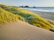 Sanddünen im Pistol River State Park, Oregon, USA