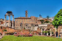 Tempel des Castor und des Pollux, Senatorenpalast, Septimus Severusbogen, Forum Romanum, Rom, Latium, Italien
