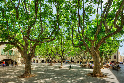 Place aux Herbes, Uzes, Gard, Languedoc-Roussillon, Frankreich