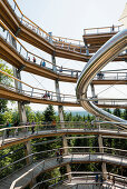 Baumwipfelpfad auf dem Sommerberg, Bad Wildbad, Schwarzwald, Baden-Württemberg, Deutschland