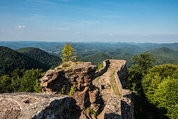 Ausblick auf den Pfälzerwald von der Ruine Wegelnburg, bei Nothweiler, Rheinland-Pfalz, Deutschland