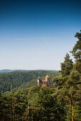 Burg Berwartstein, Erlenbach, Naturpark Pfälzerwald, Pfalz, Rheinland-Pfalz, Deutschland