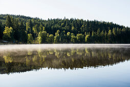 Lake in the morning sun, Windgfaellweiher, Schluchsee, Black Forest, Baden-Wuerttemberg, Germany
