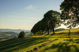 Landschaft bei St Peter, Südschwarzwald, Schwarzwald, Baden-Württemberg, Deutschland