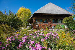 altes Bauernhaus und Blumengarten, Menzenschwand, Schwarzwald, Baden-Württemberg, Deutschland