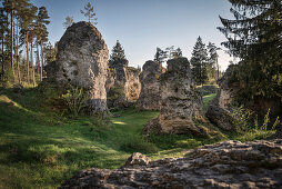 bizarre rock formations at the Wen Valley, the Wen Valley is a typical dry valley north west of Steinheim at Albuch at the plateau of the Swabian Alb, Heidenheim district, Swabian Alb, Baden-Wuerttemberg, Germany